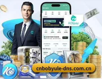 bob在线娱乐 APP 深度功能